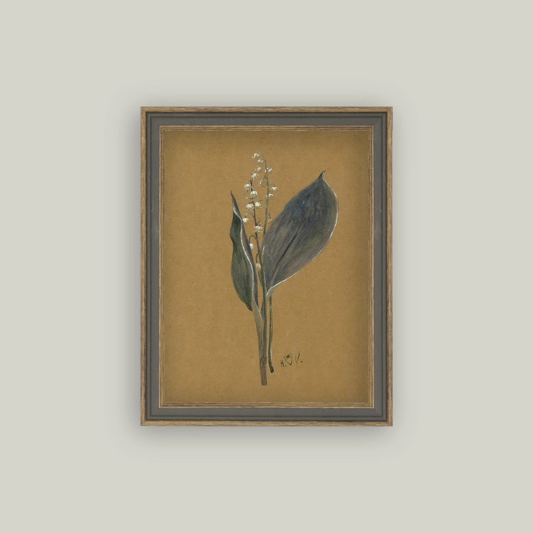 Framed botanical illustration of a plant on a beige background