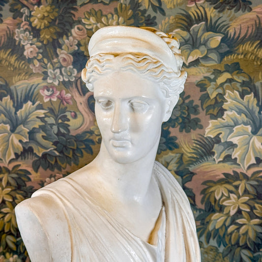 Plaster Bust