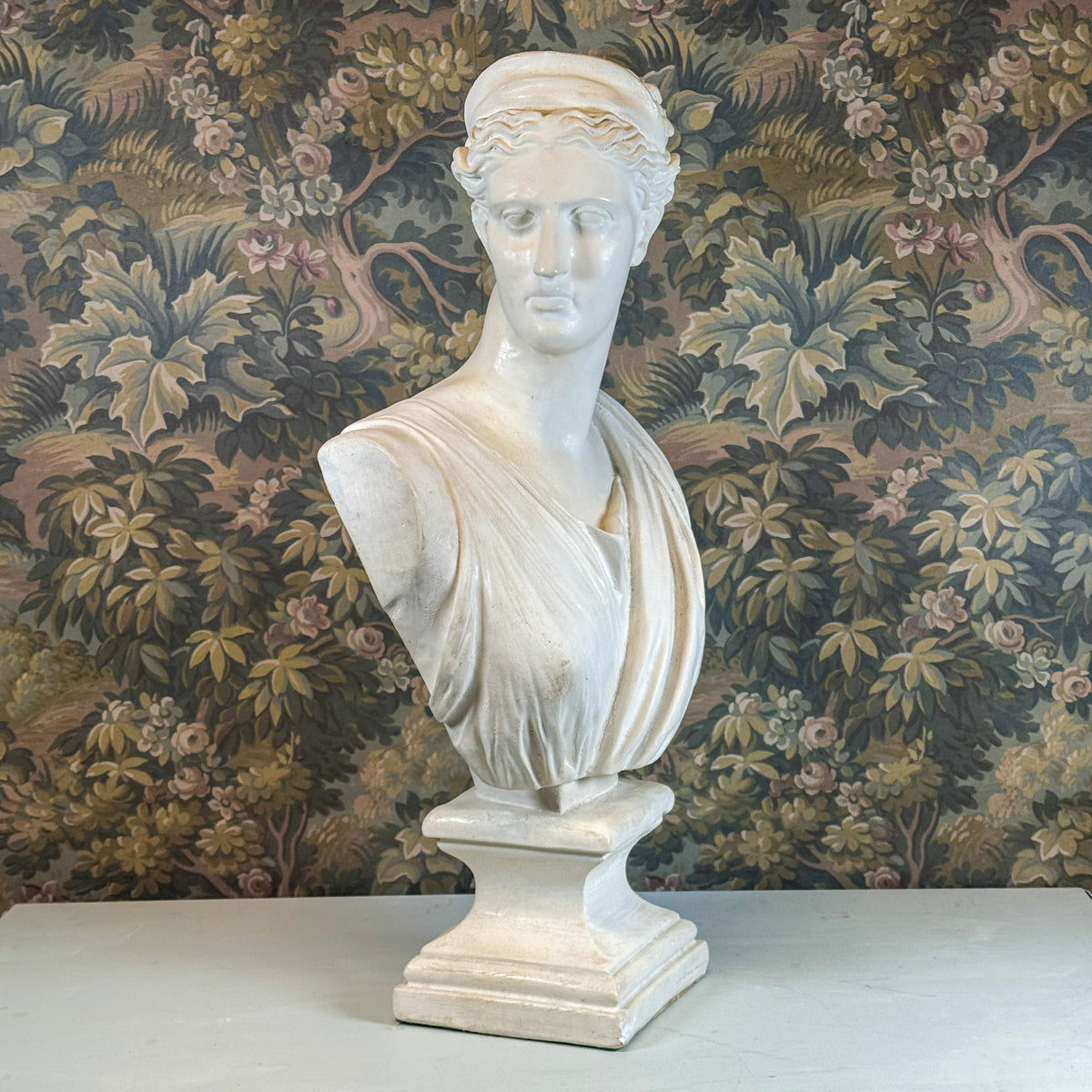 Plaster Bust