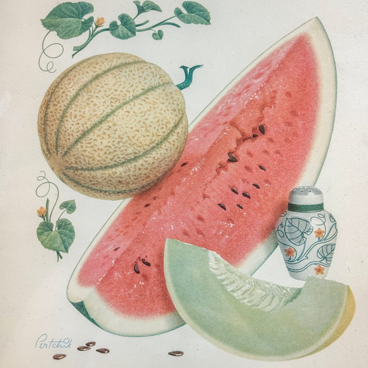 Vintage Watermelon Print
