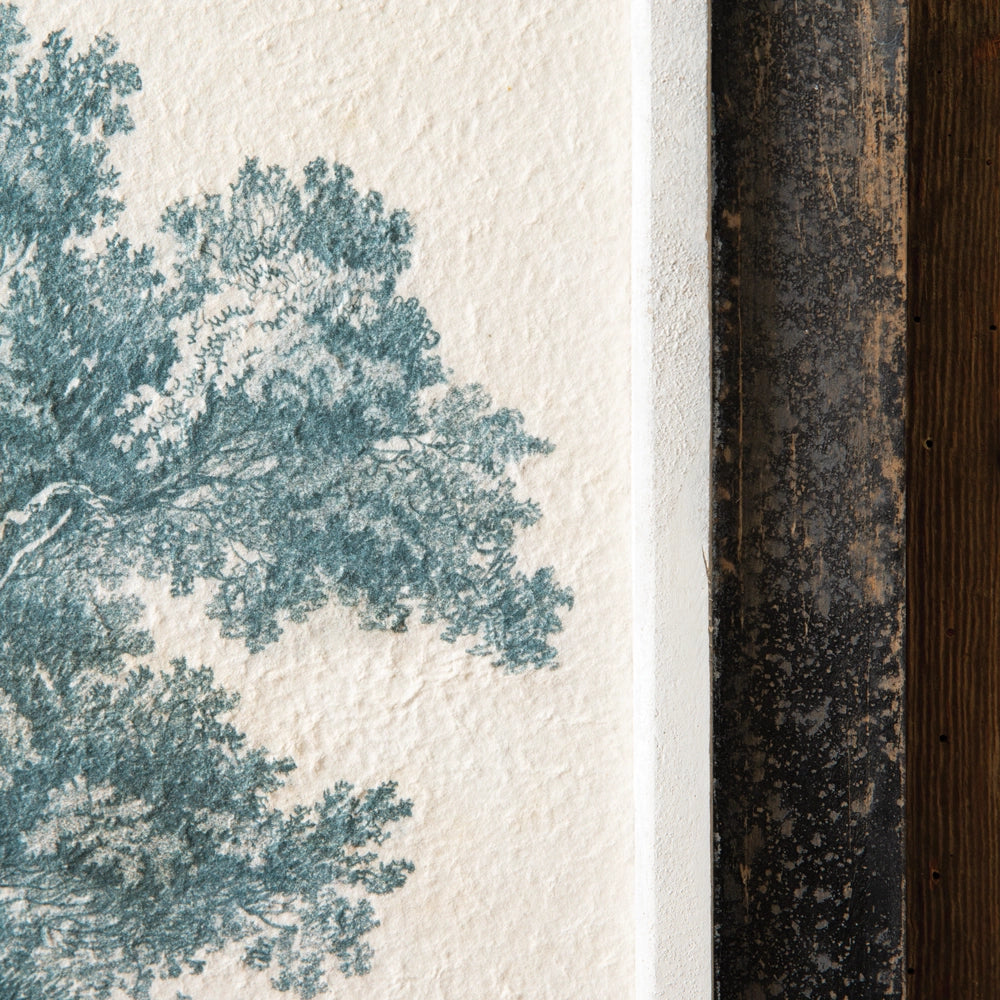 English Oak Tree Wall Art