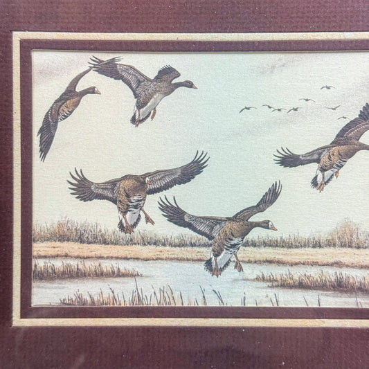 Framed Goose Print