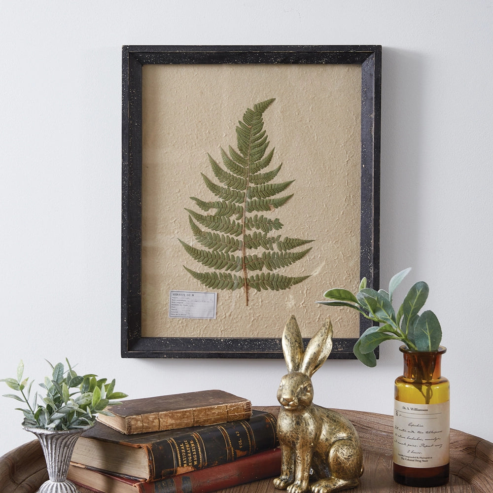 Pressed Botanical, Lady Fern