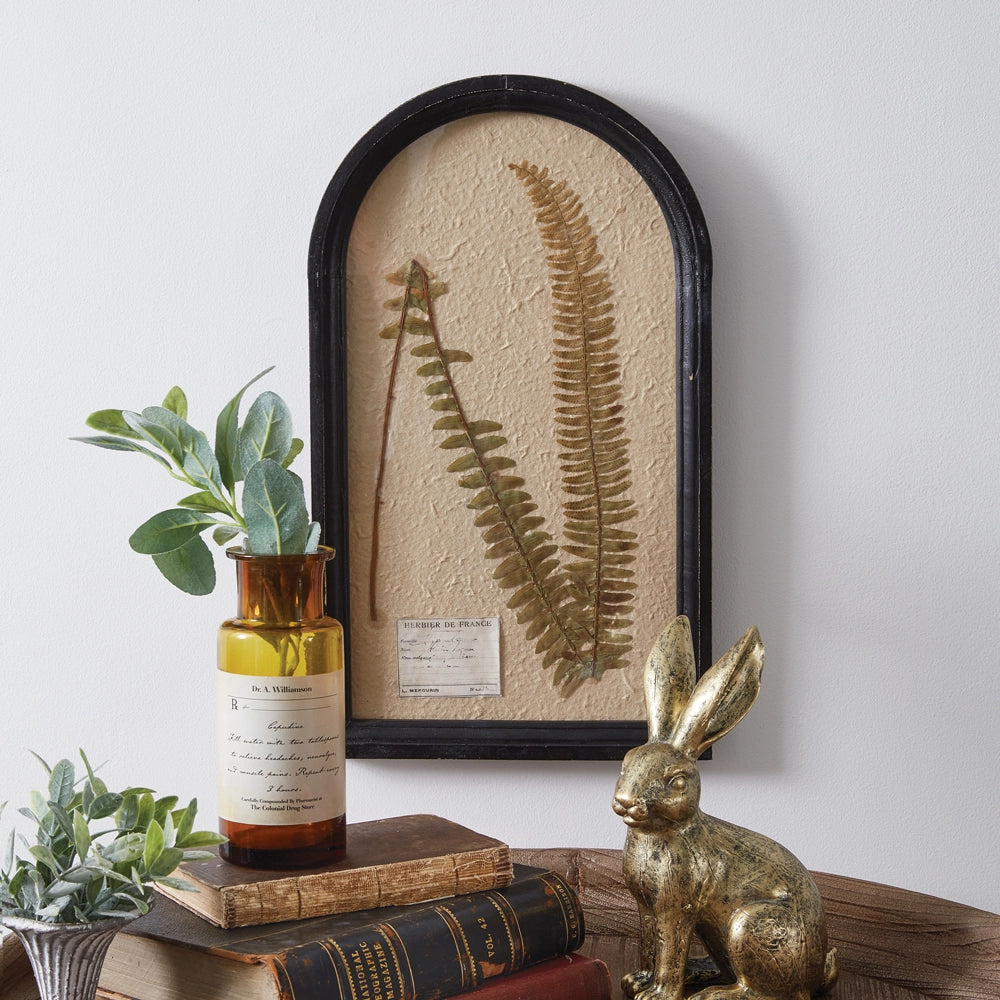 Pressed Botanical, Boston Fern