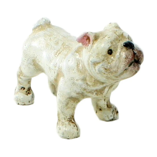 Dave the French Bulldog