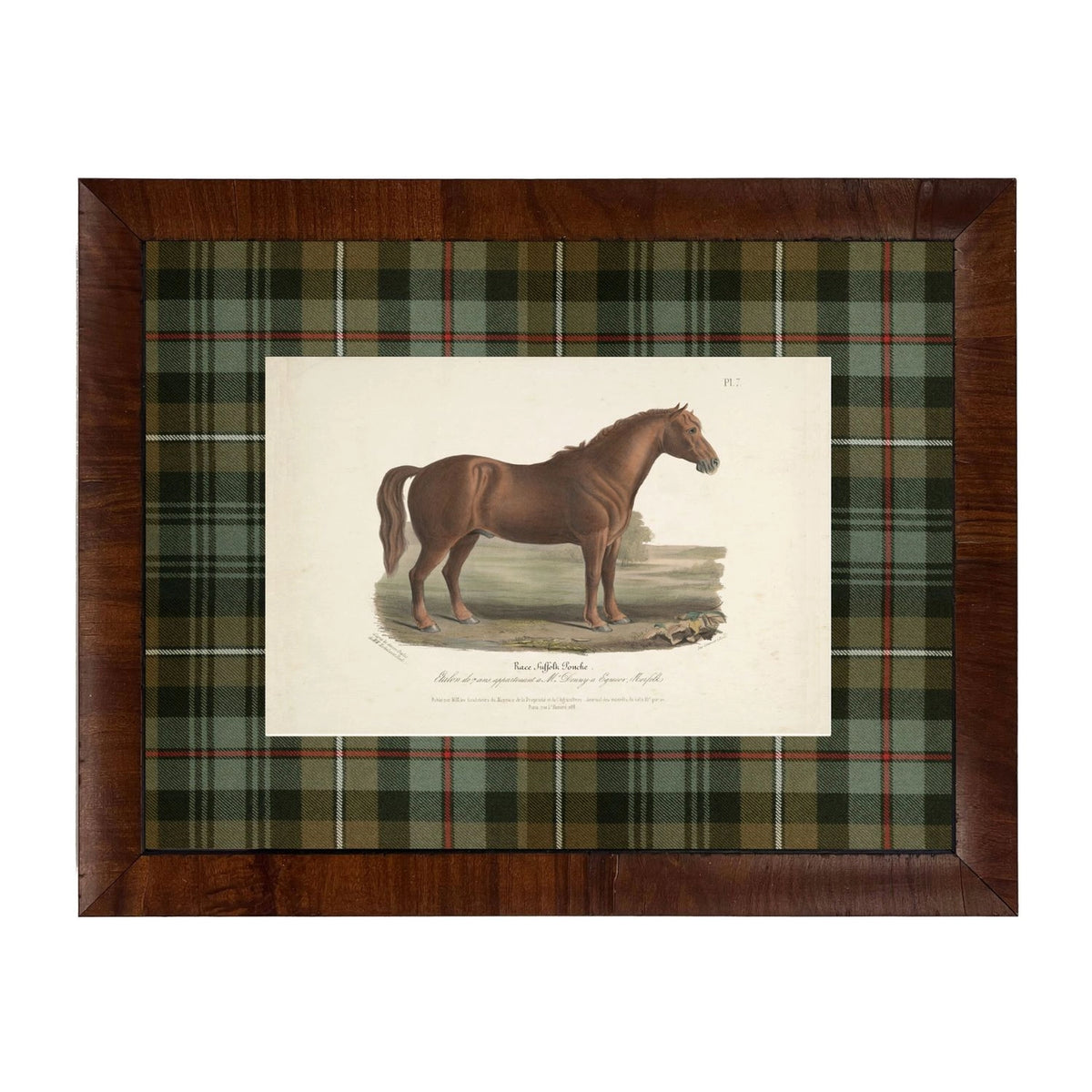 Framed Lone Horse Bookplate on Tartan