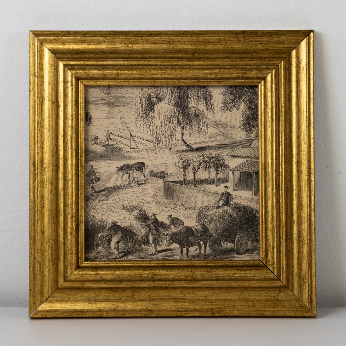 On the Farm Sketch