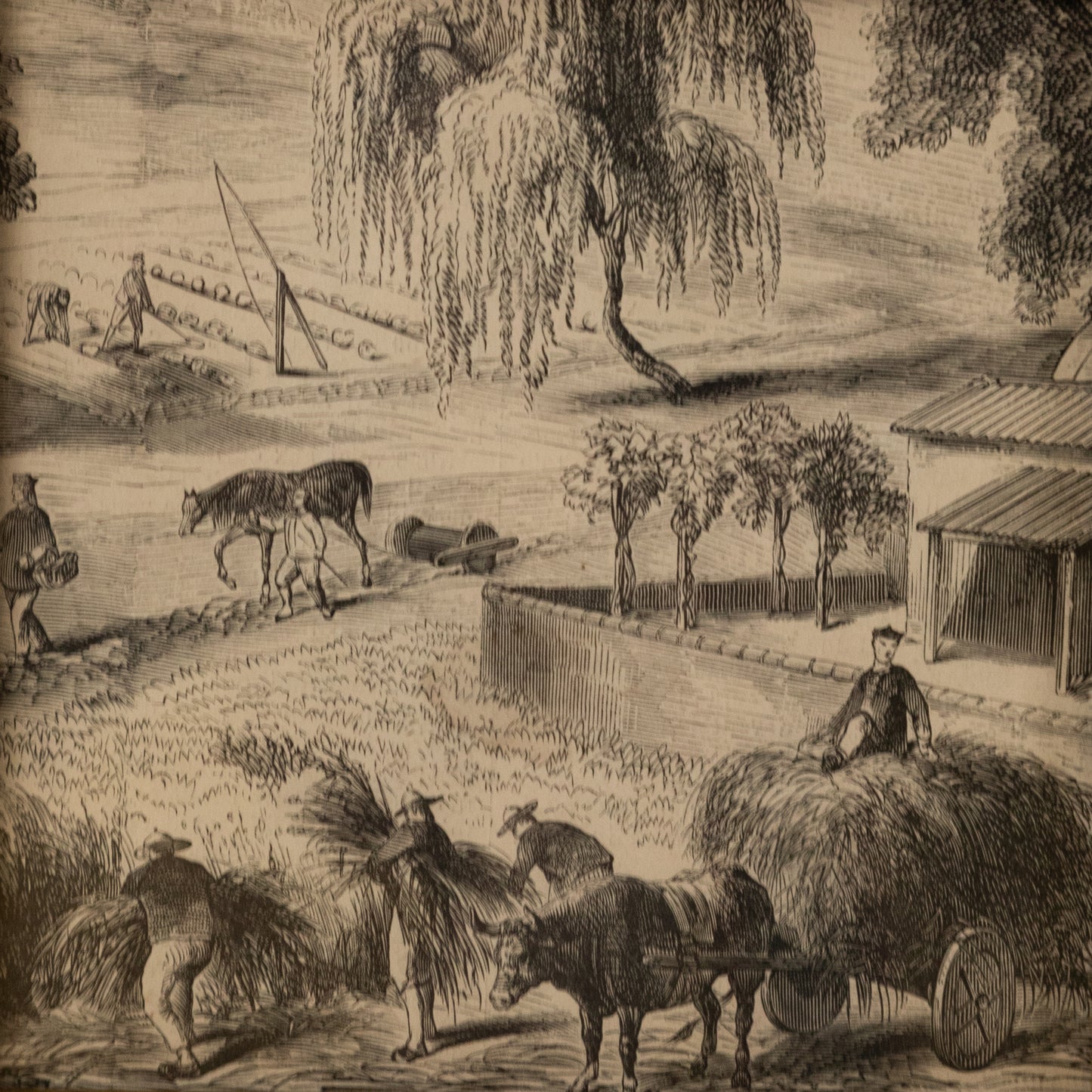 On the Farm Sketch