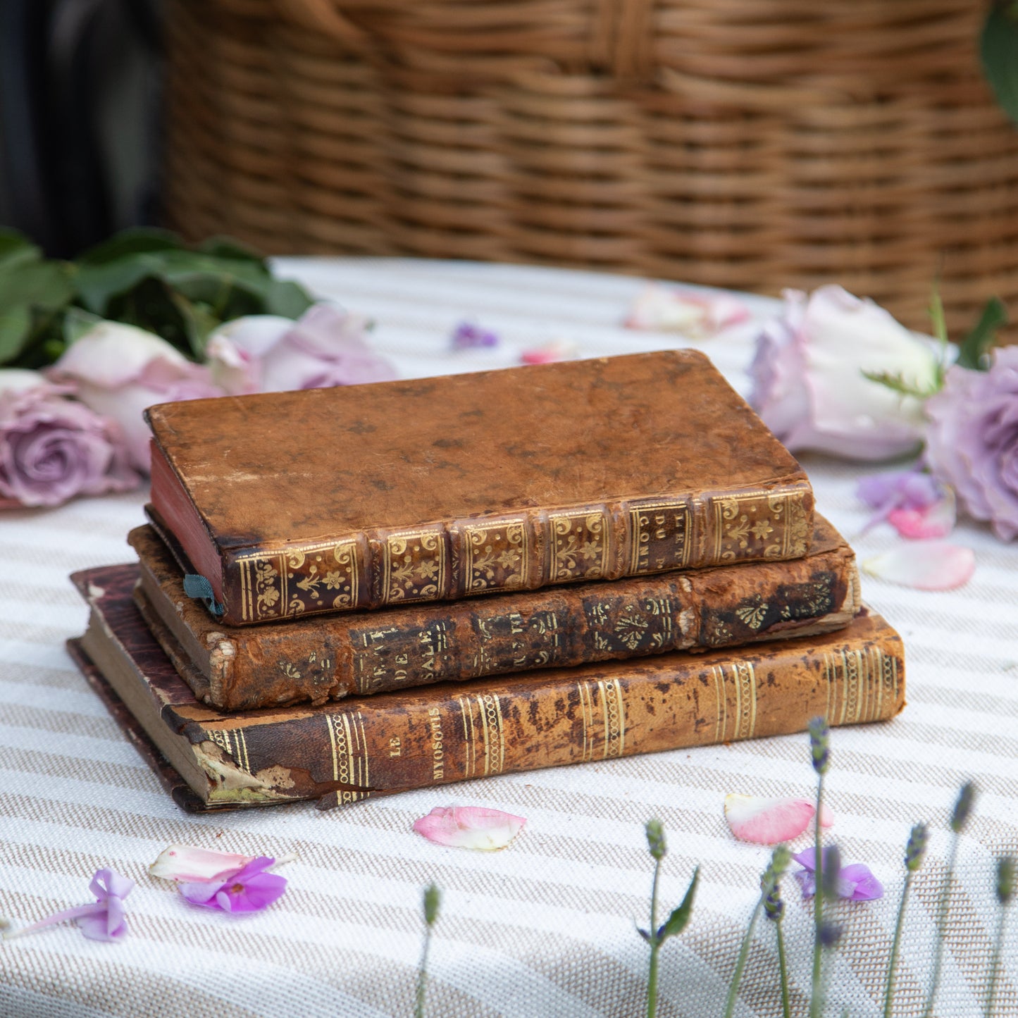 Set of Three French Antique Books
