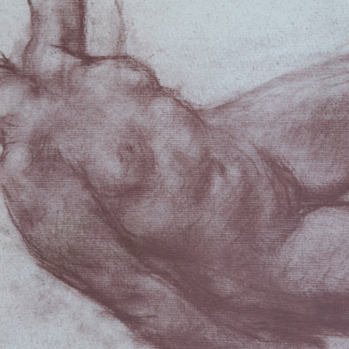 Framed Nude Sketch Print #5