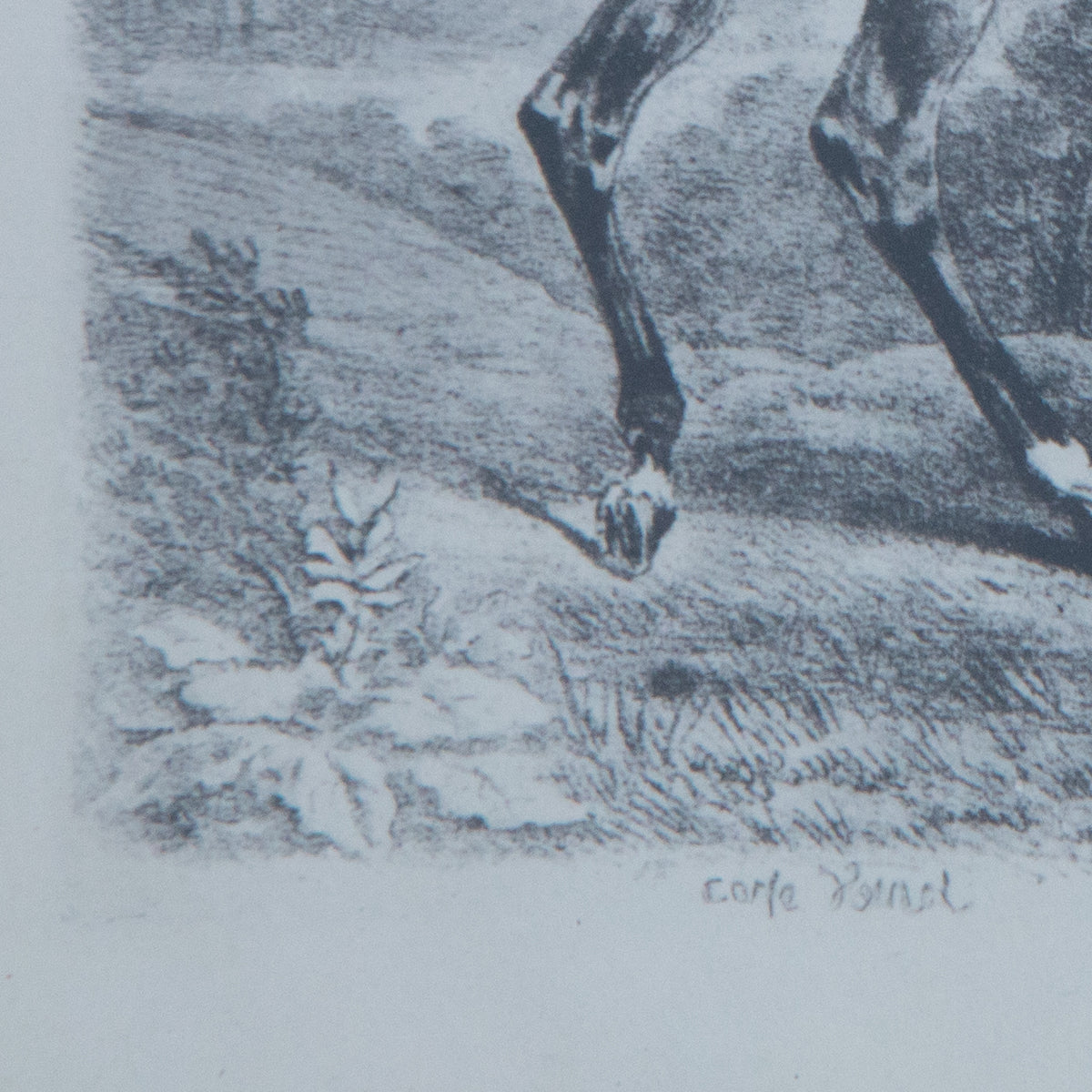 Framed Vintage Hunting Dogs Print