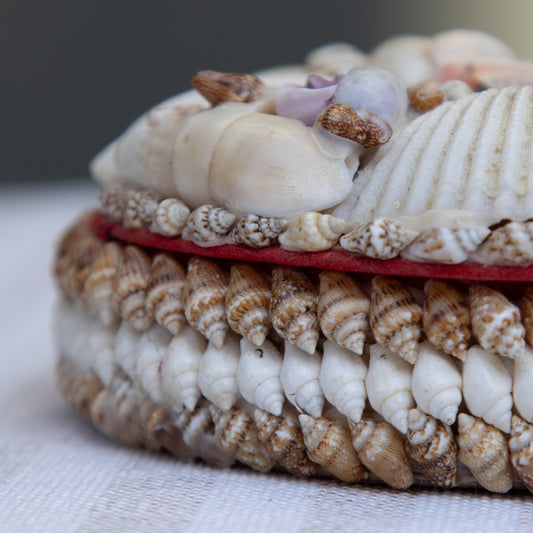 Vintage Seashell Trinket Box