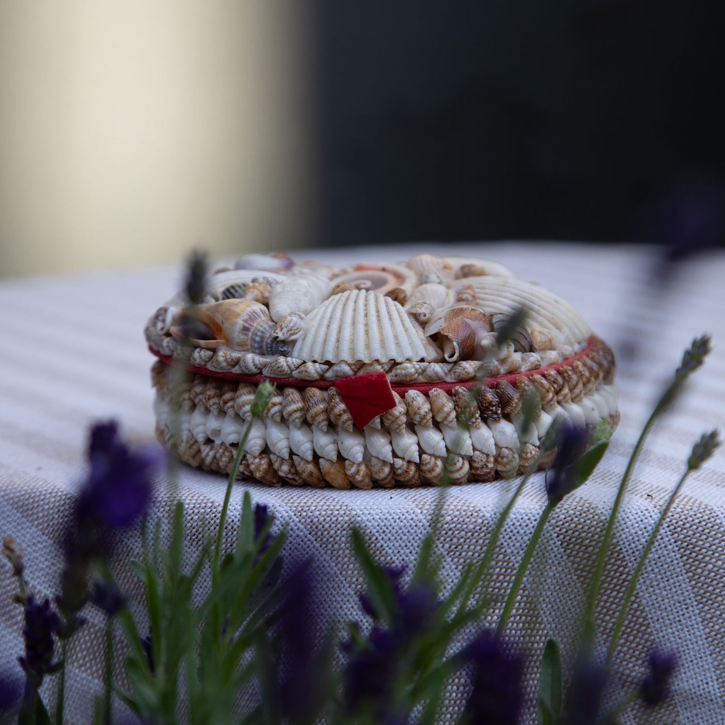 Vintage Seashell Trinket Box