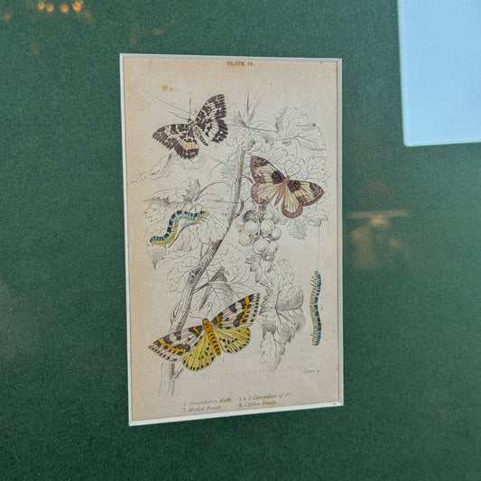 1842 Antique Framed Engraving