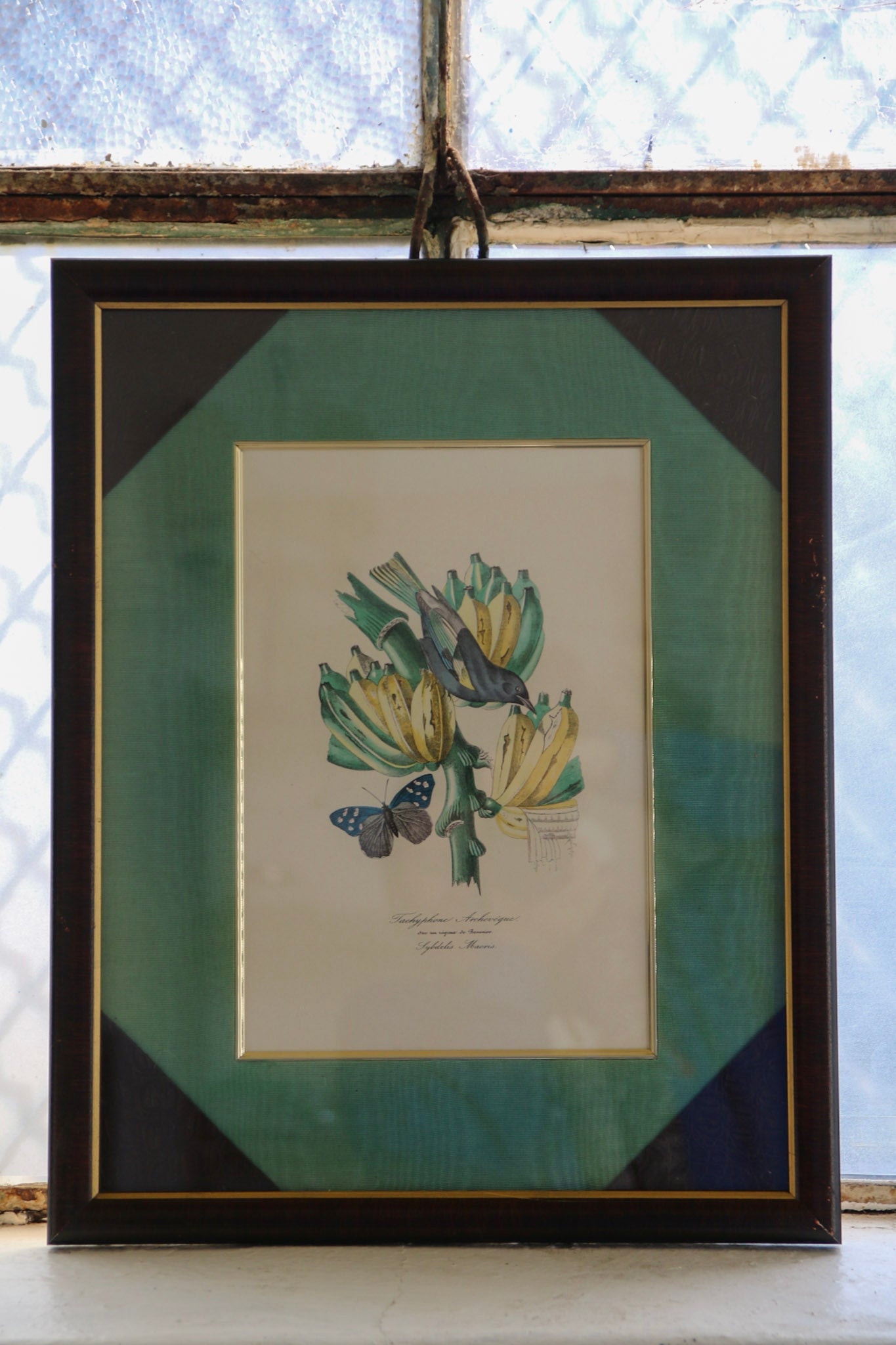 Large Bird & Plantain Print