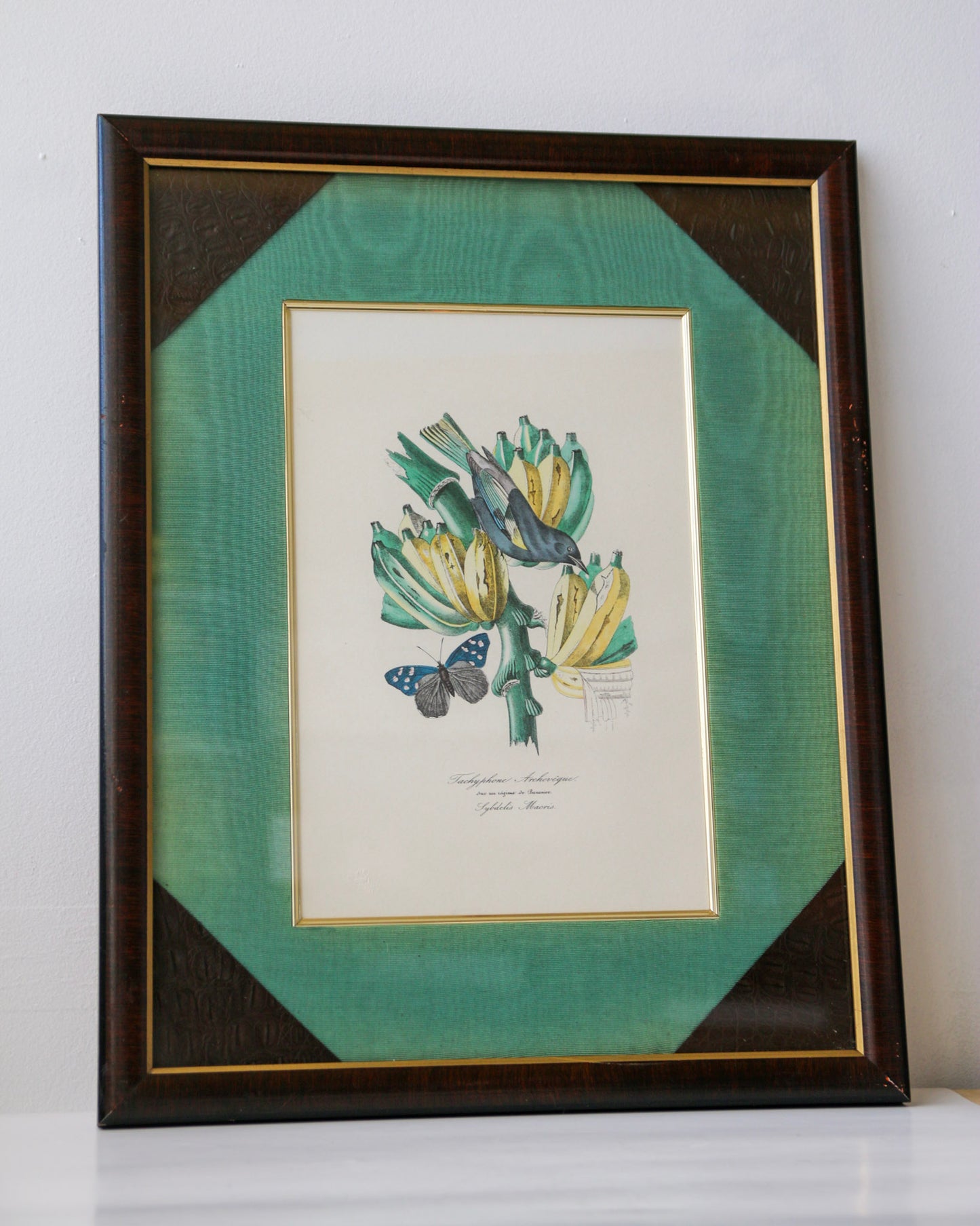 Large Bird & Plantain Print