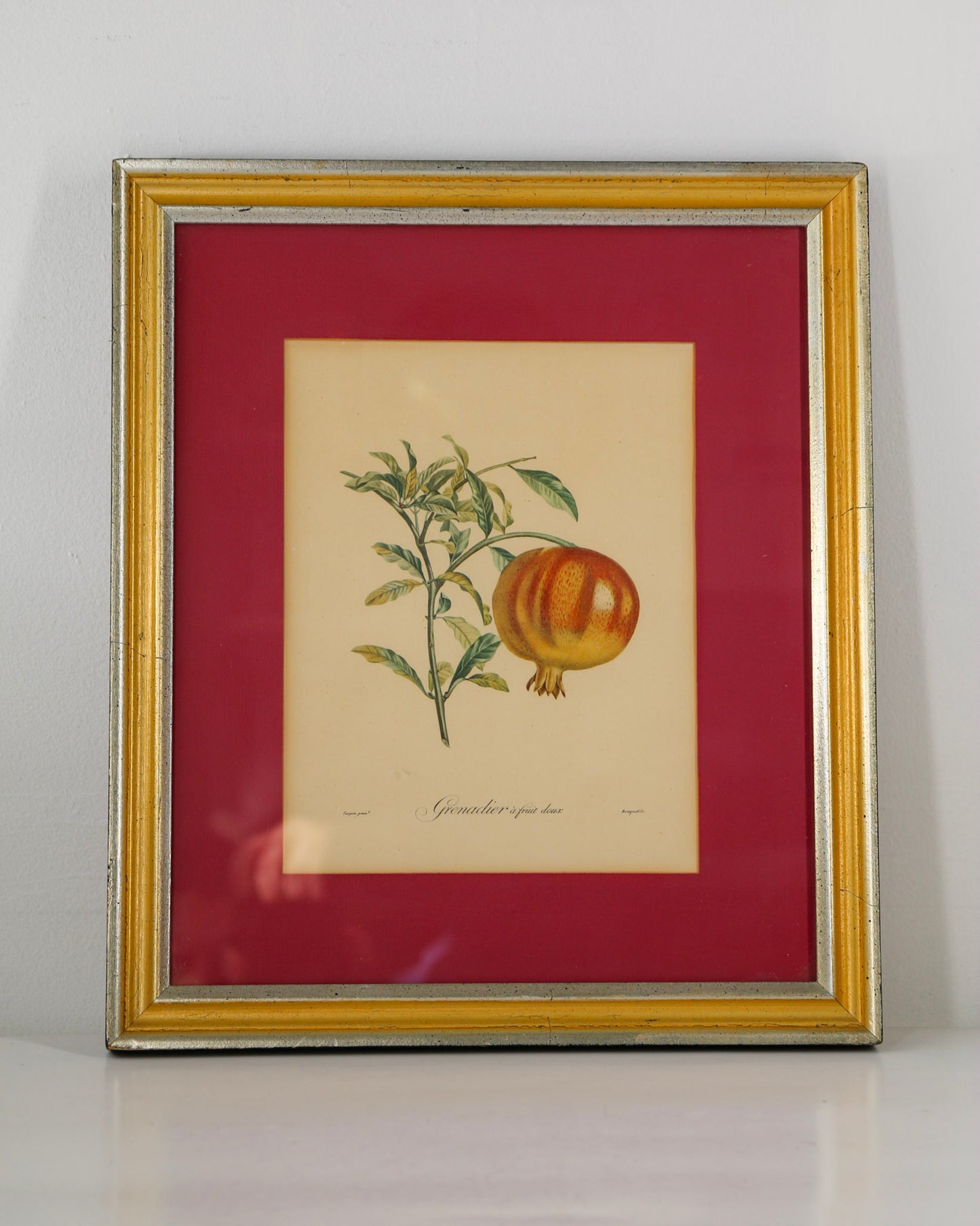 Framed Grenadier Print