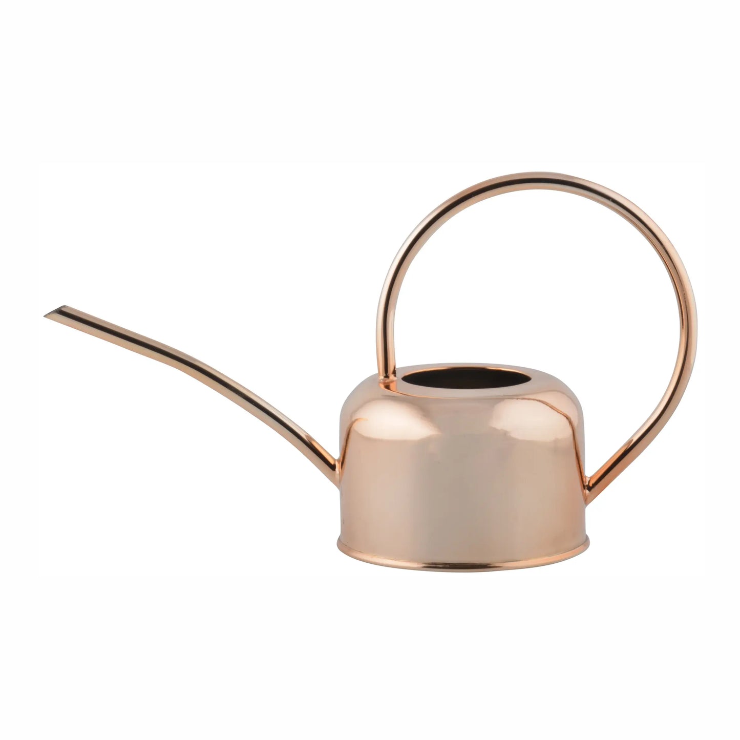 Copper Watering Can