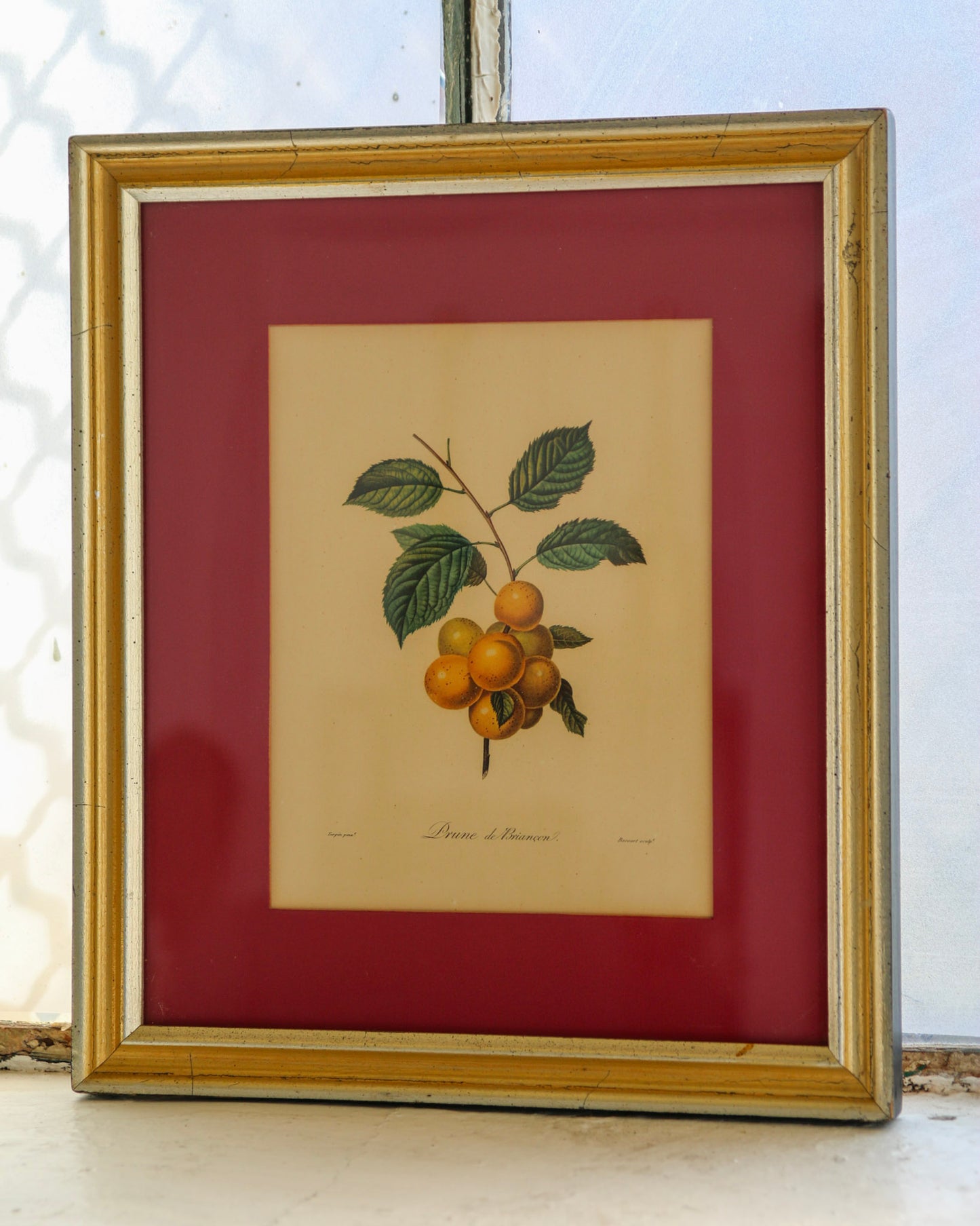 Framed Prune Print