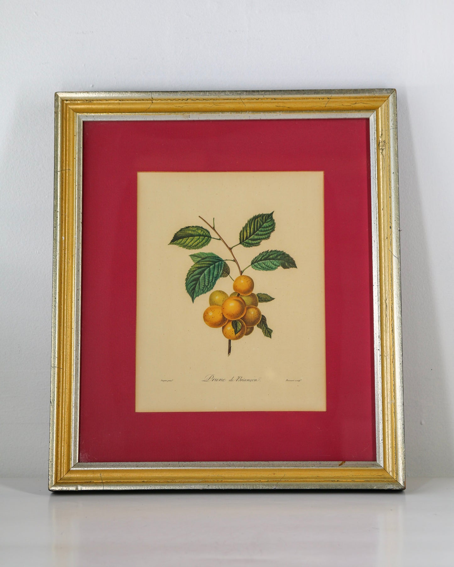 Framed Prune Print