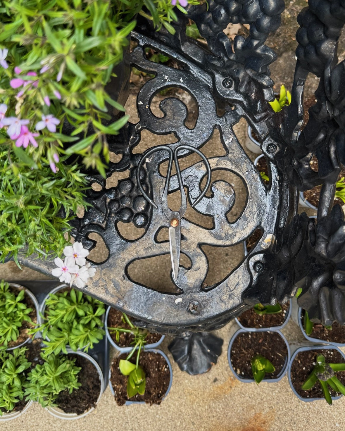 Forged Iron Utility Shears