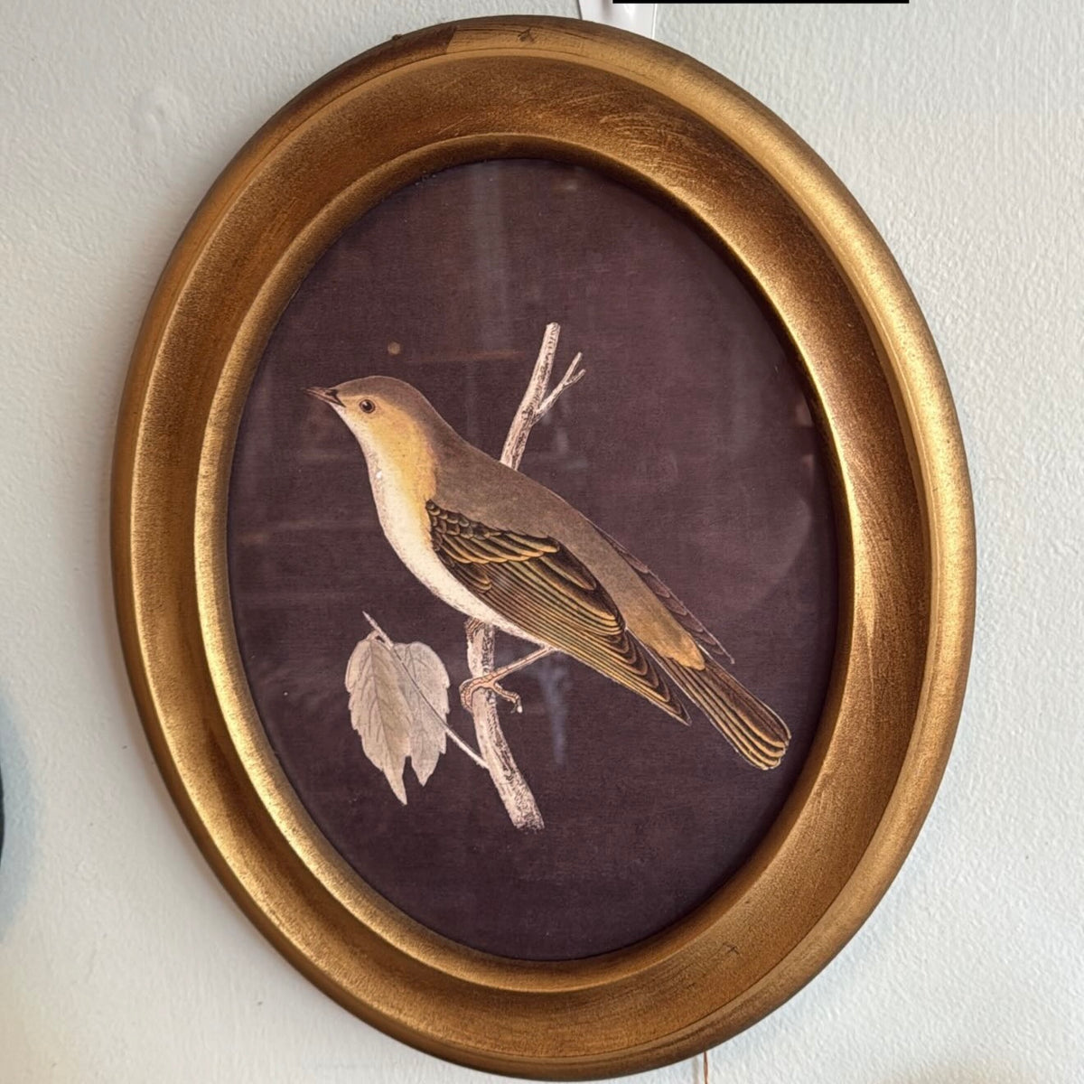 Oval Bird Print