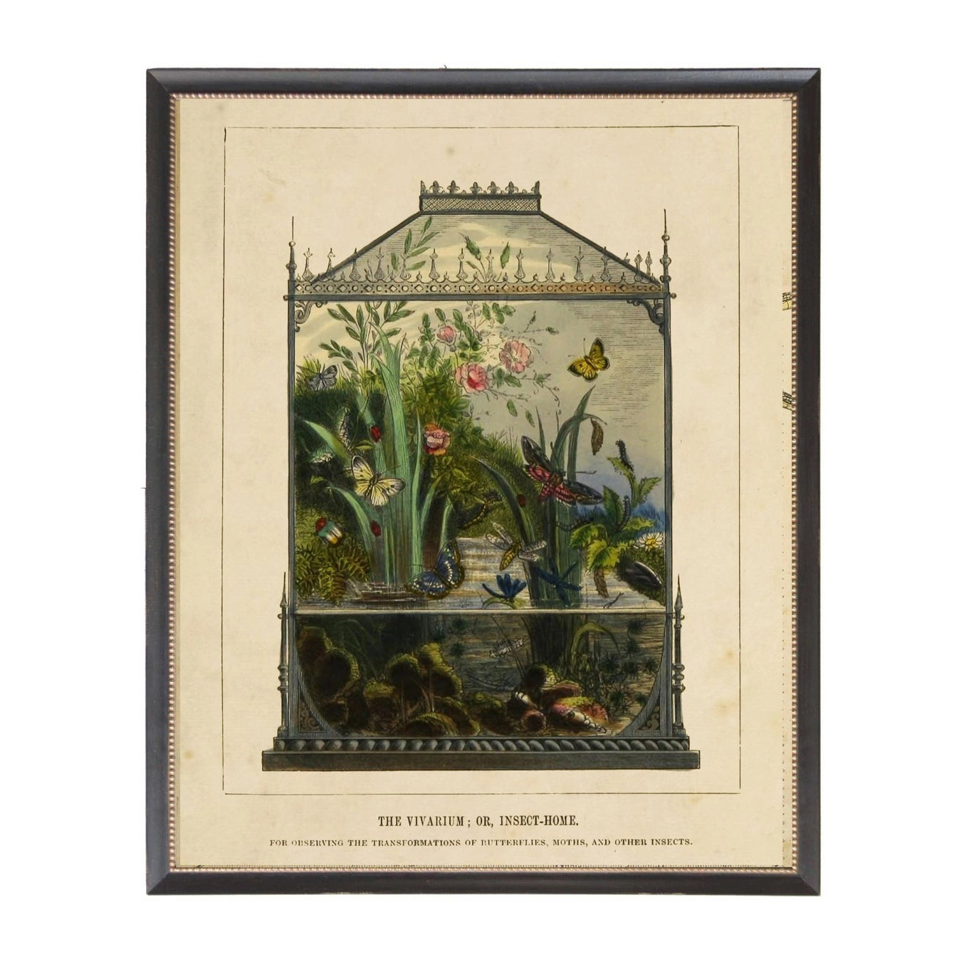 Vivarium Bookplate Framed Print