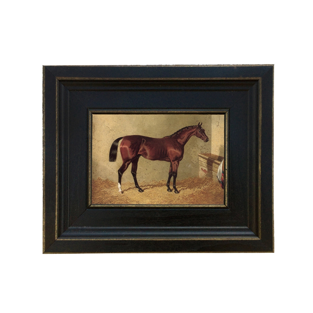 Bay Colt in Stable Vintage Painting Print