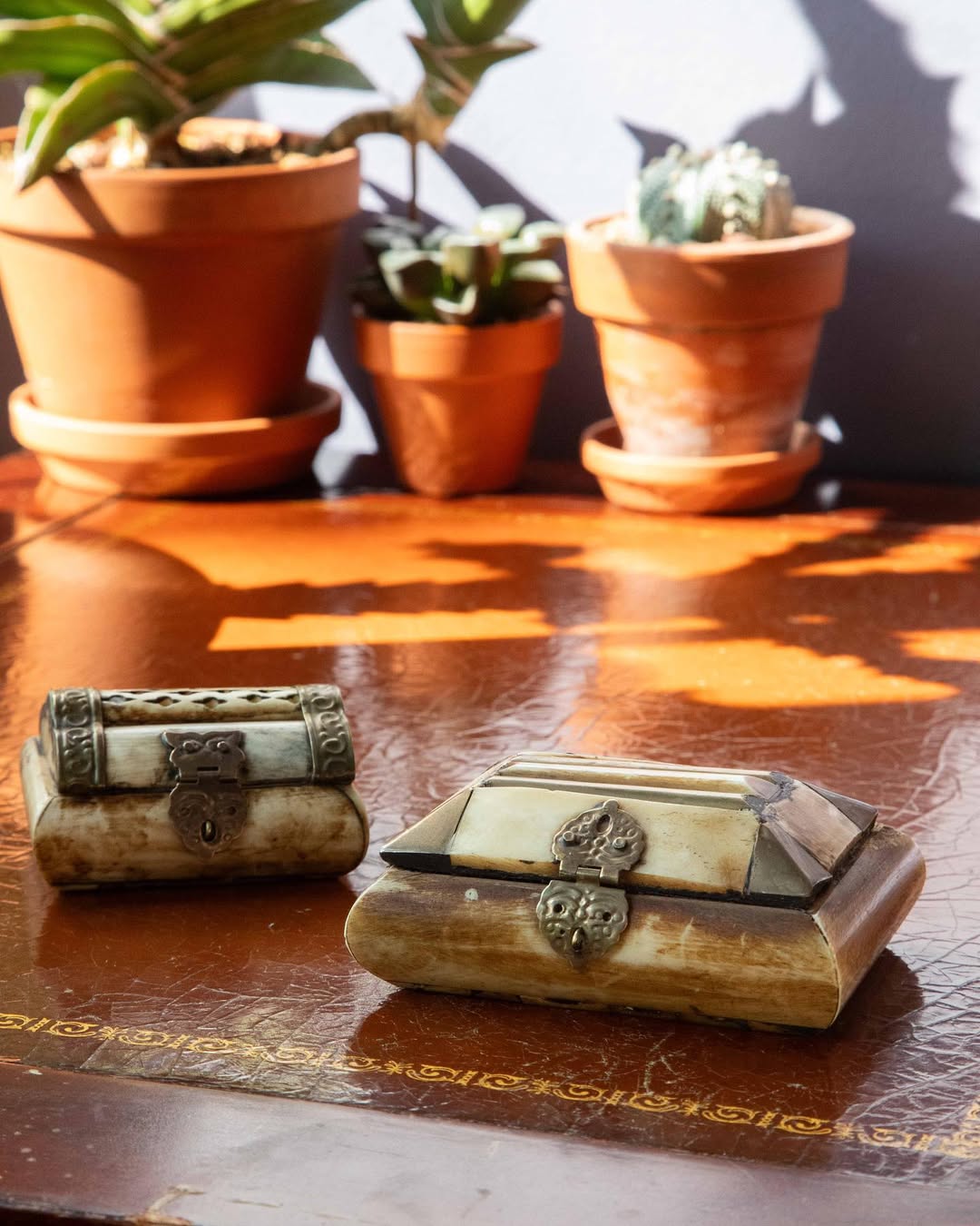 Two decorative boxes on a wooden surface with potted plants in the background