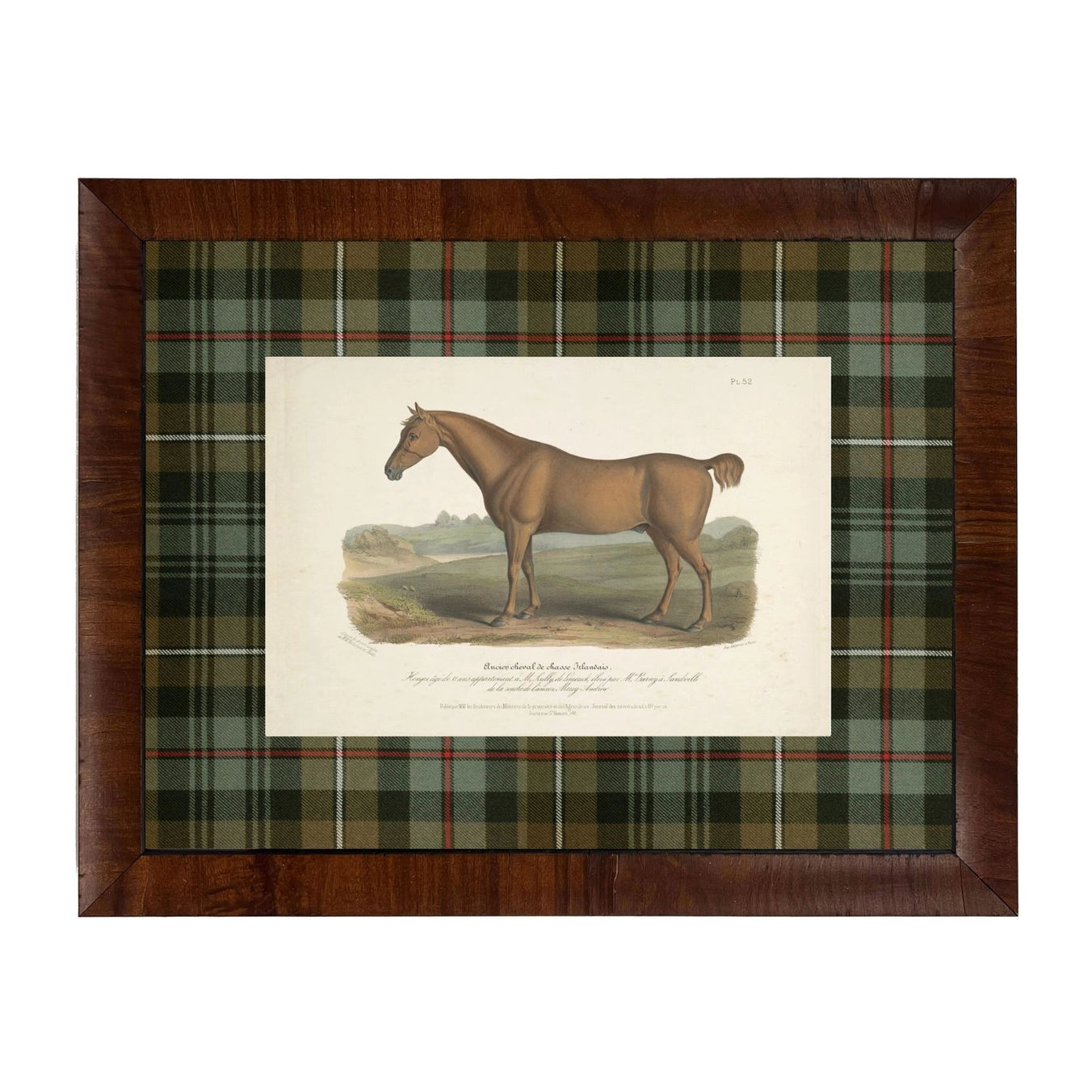 Plaid Horse No. 52 Bookplate Framed Print
