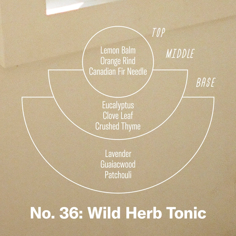 Wild Herb Tonic by P.F. Candle Co.
