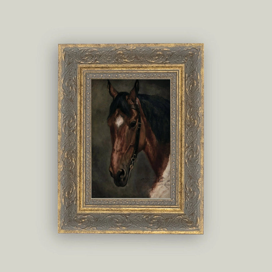 "Horse Portrait" Painting Framed Reproduction