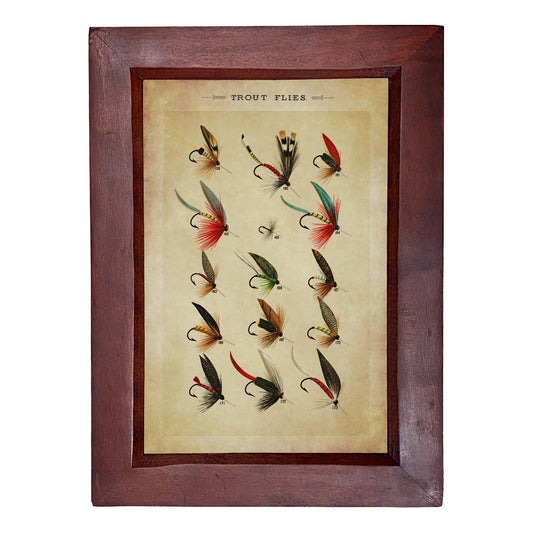 Trout Flies Framed Print