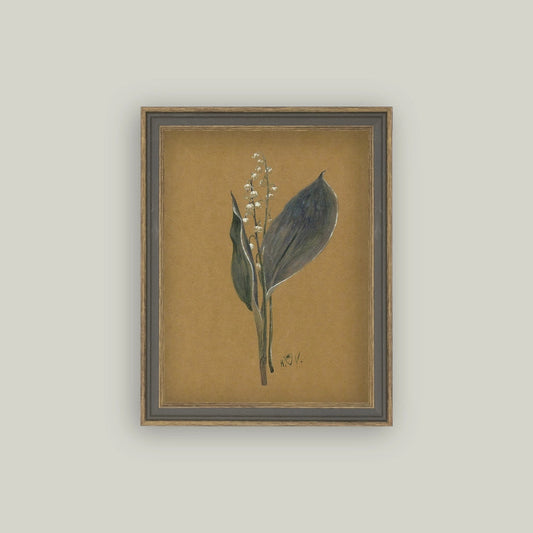 Framed botanical illustration of a plant on a beige background