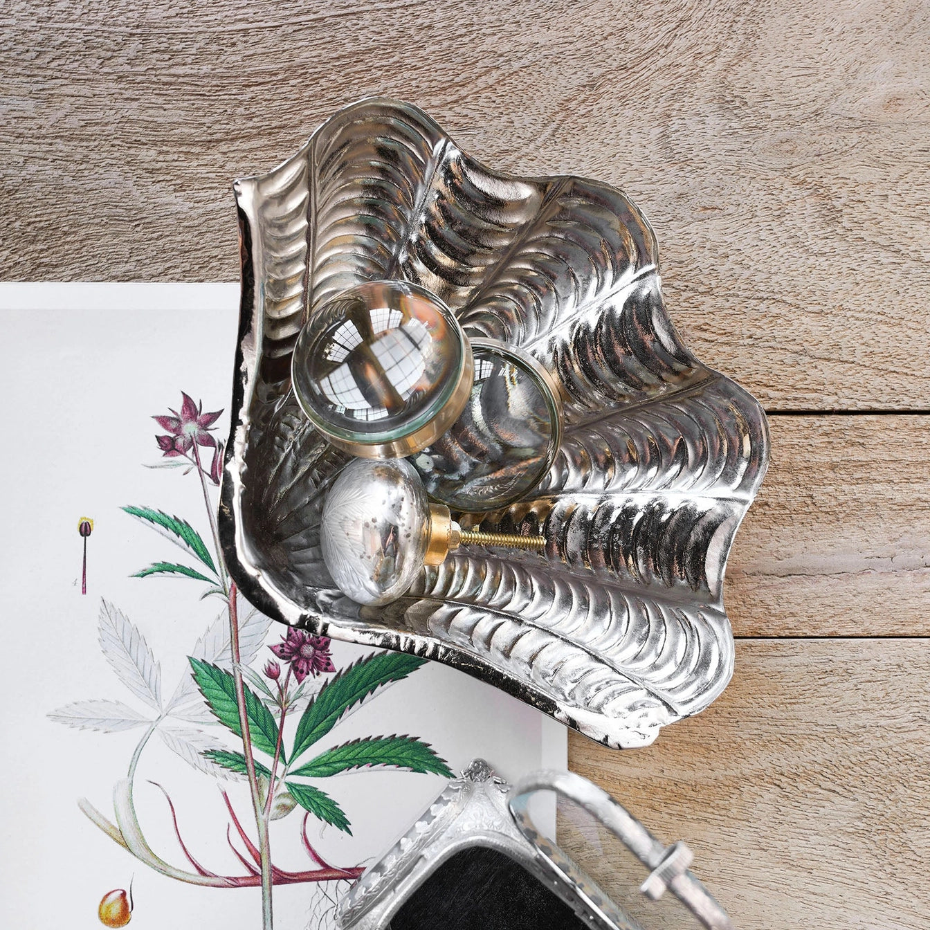 Silver Shell Catchall