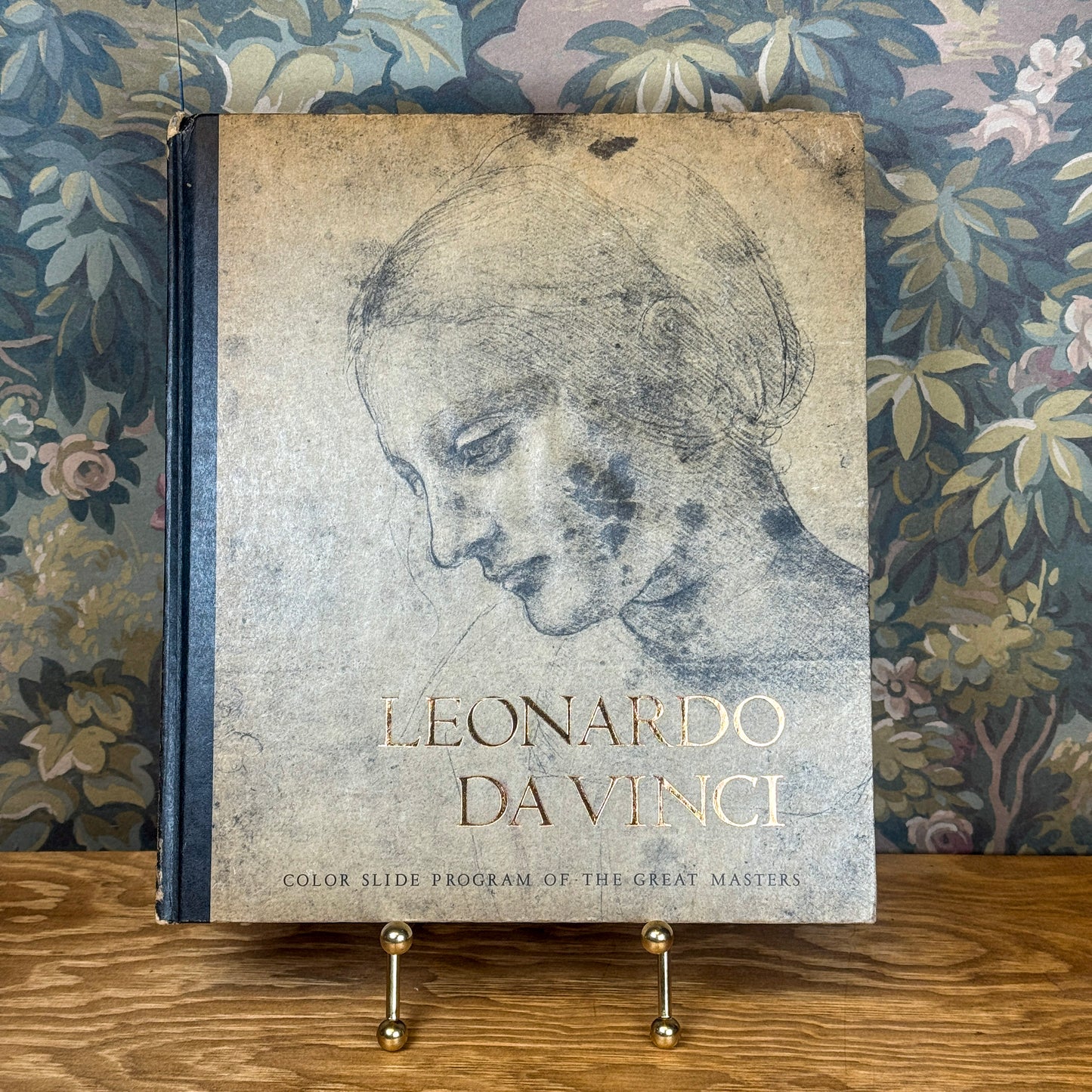 Leonardo Da Vinci Color Slides Art Book