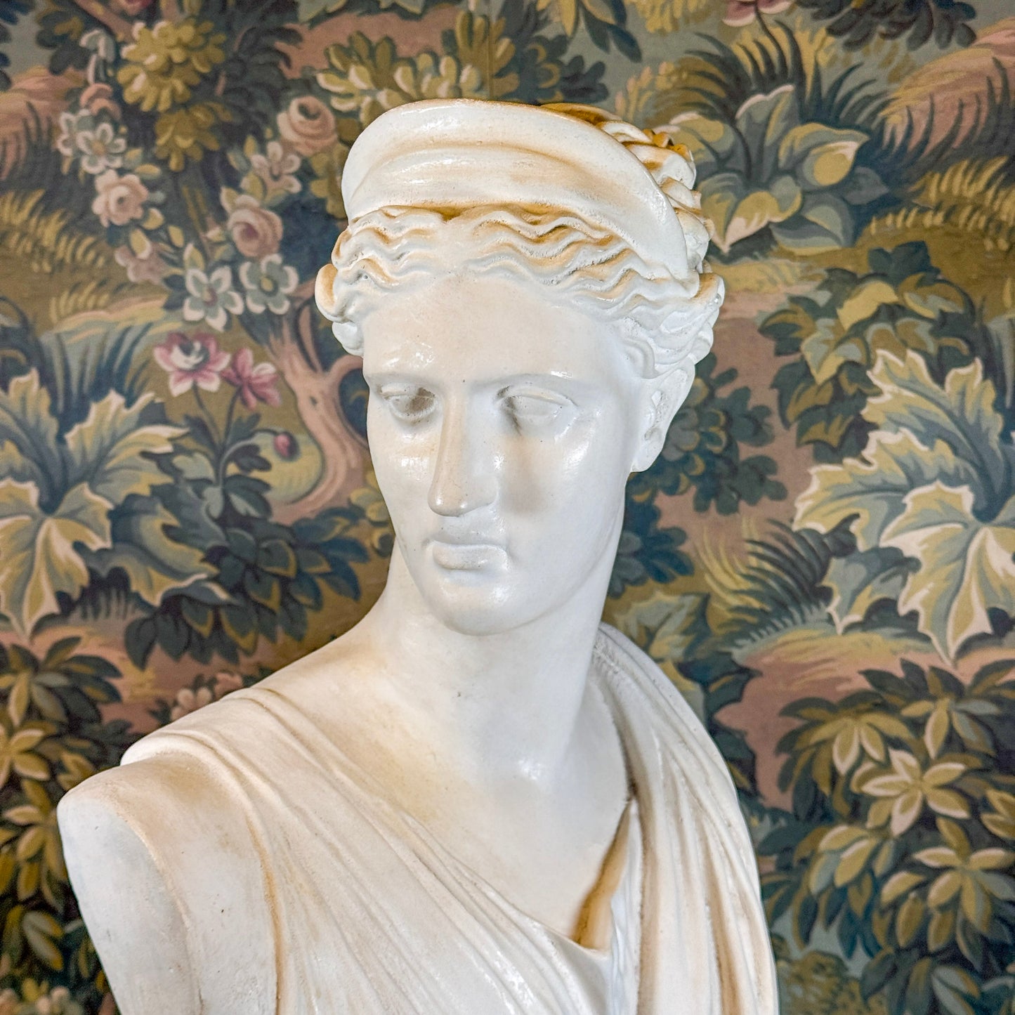 Plaster Bust
