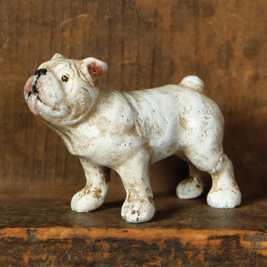 Dave the French Bulldog