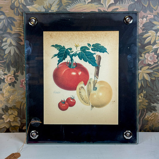 Vintage Tomato Print