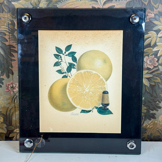 Vintage Citrus Print