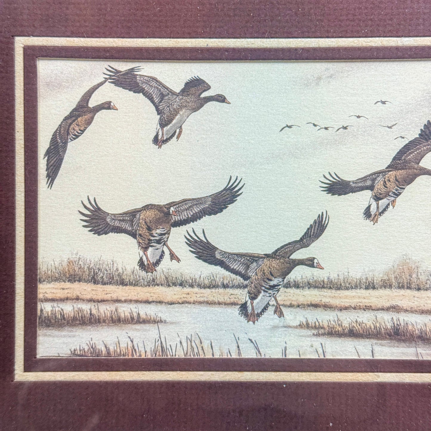 Framed Goose Print