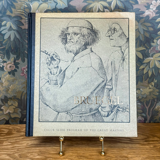 Bruegel Color Slides Art Book