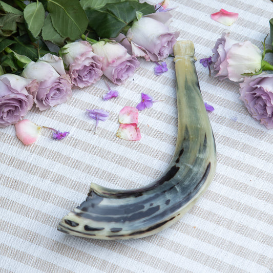 Ram’s Horn Shofar
