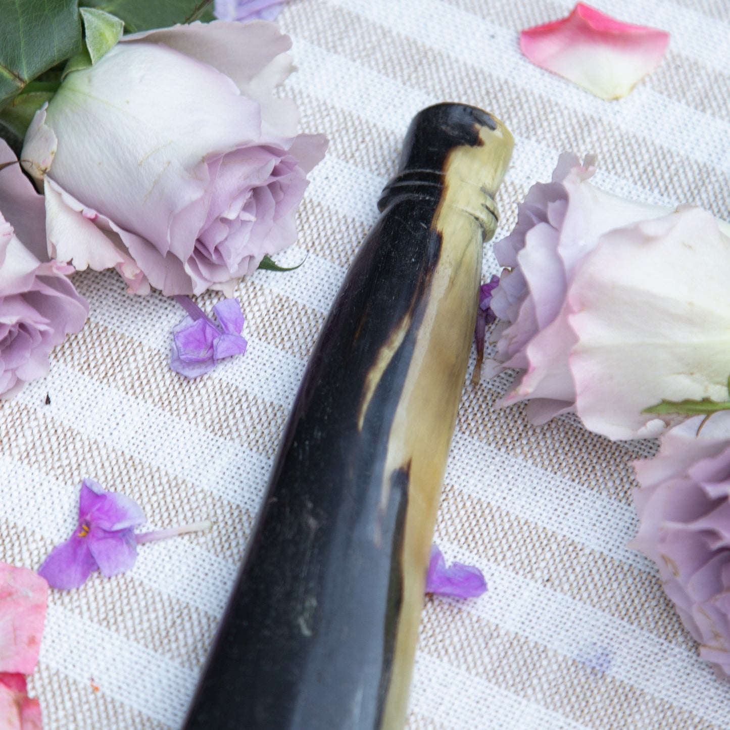 Ram’s Horn Shofar