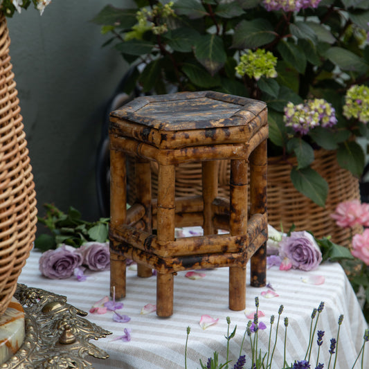 Vintage Tortoiseshell Bamboo Plant Stand