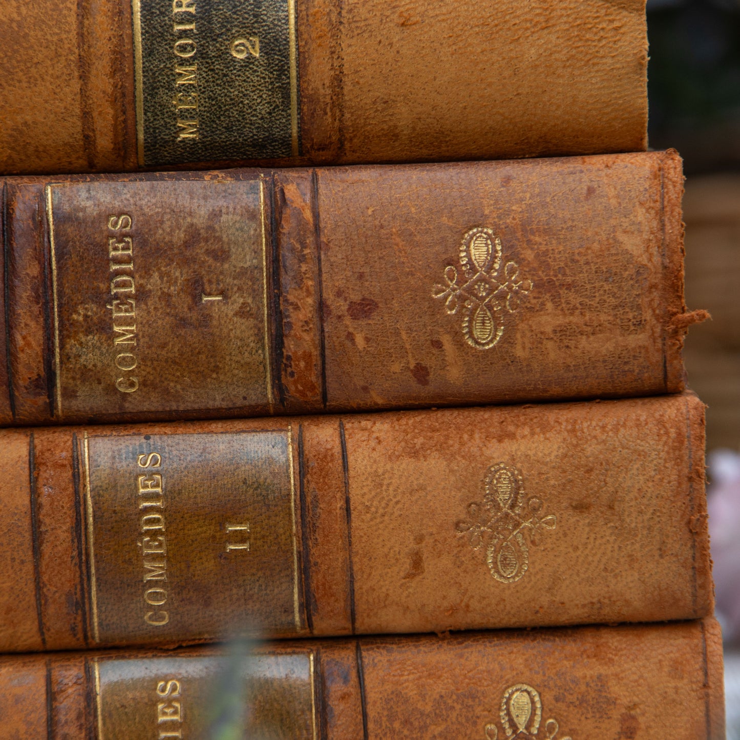 Set of Four French Antique Marbled Books