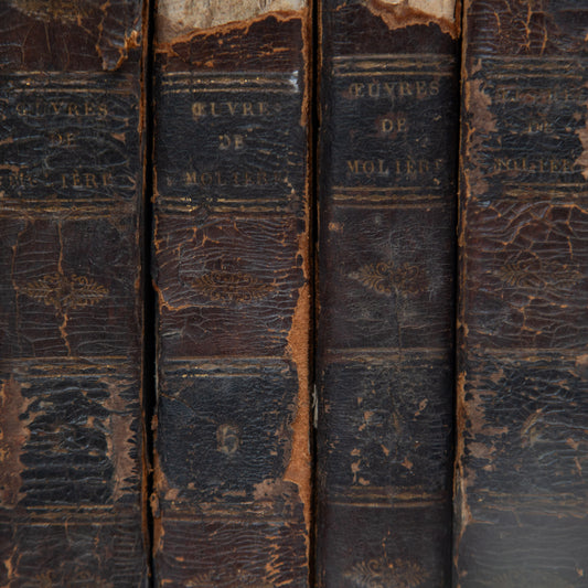 Set of Four French Antique Books