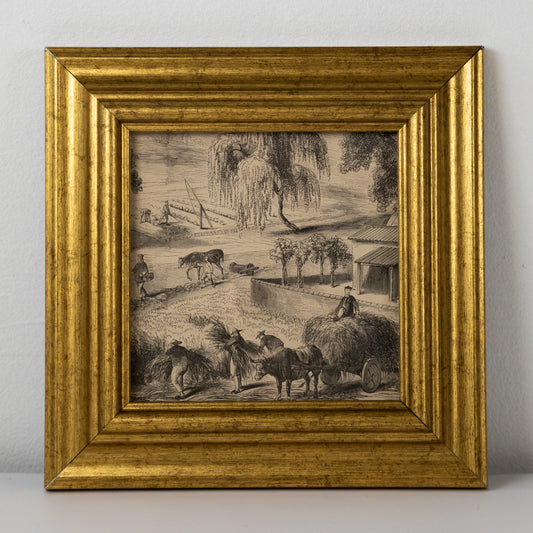 On the Farm Sketch