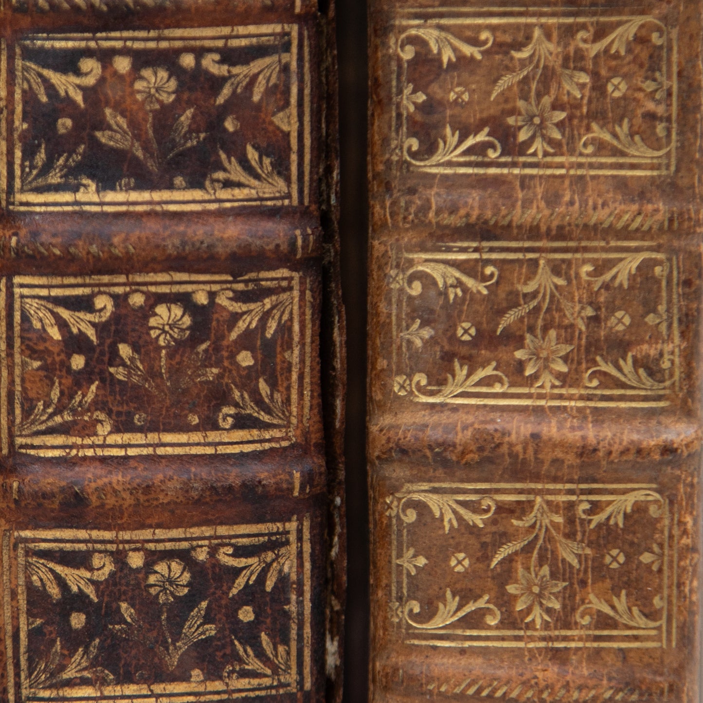 Set of Two French Antique Books