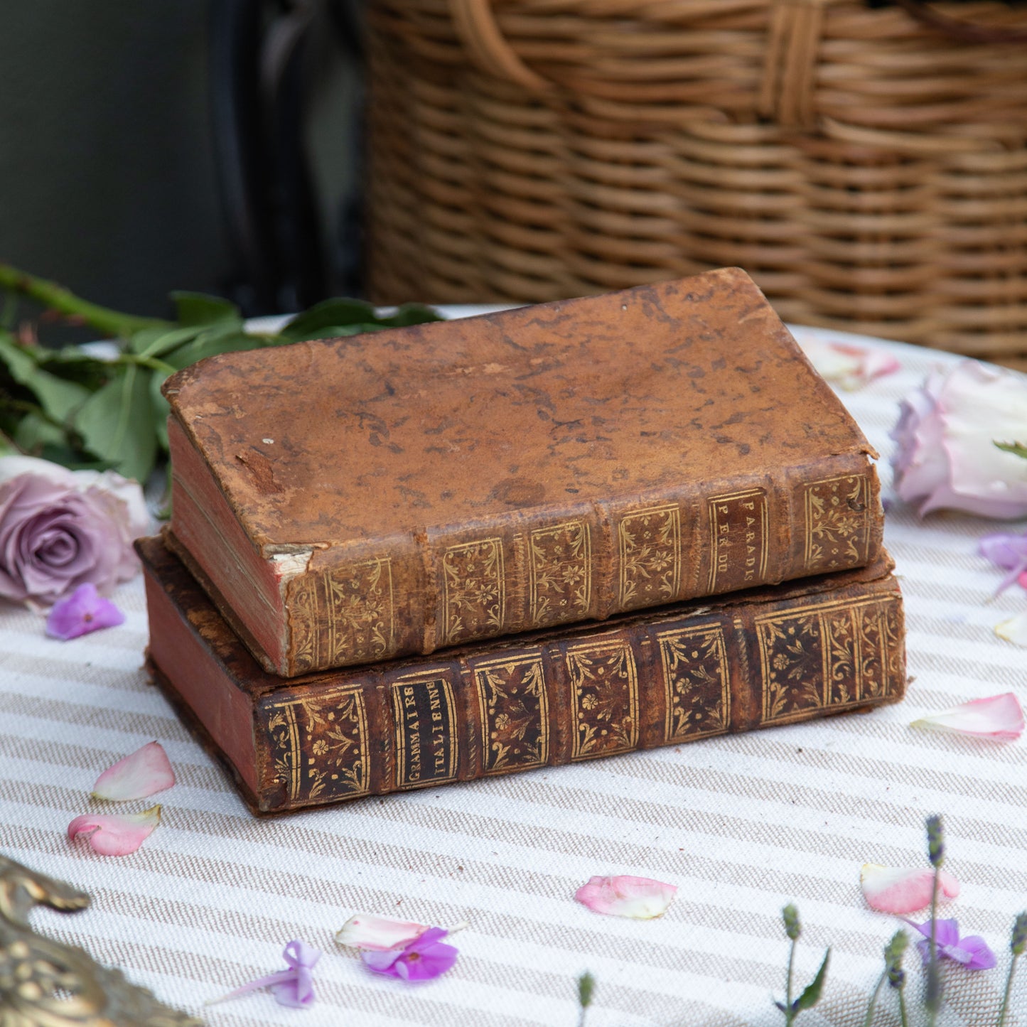 Set of Two French Antique Books